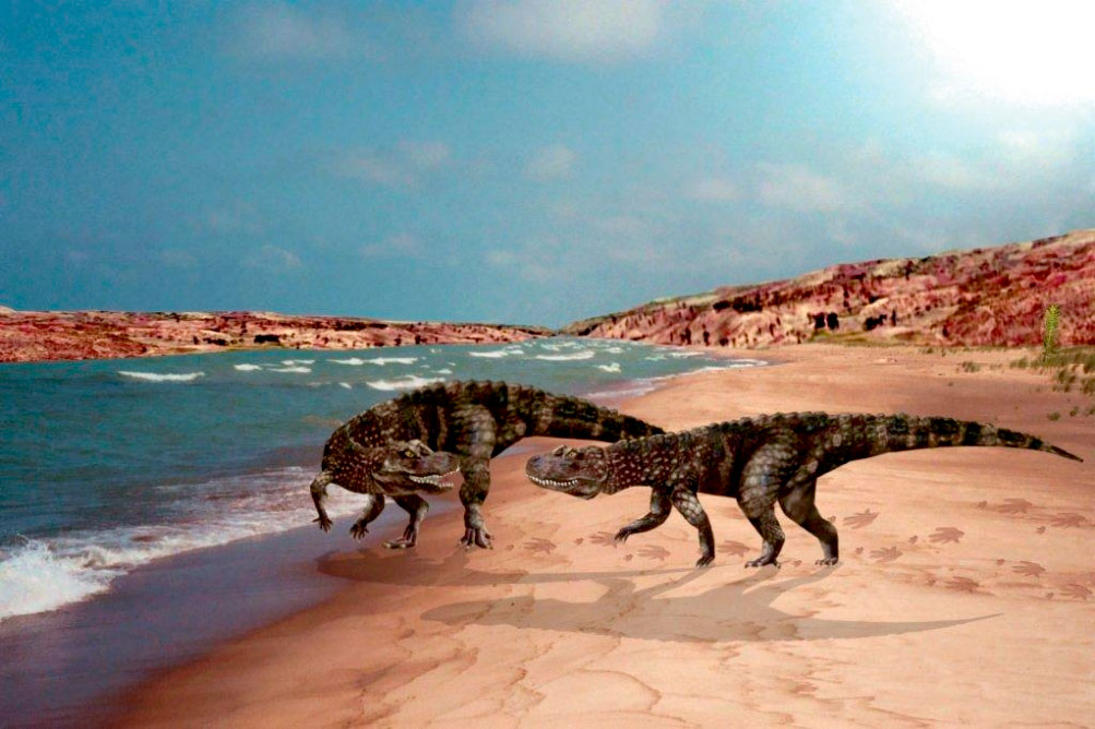 Gesteine und Fossilien auf der Grenzen