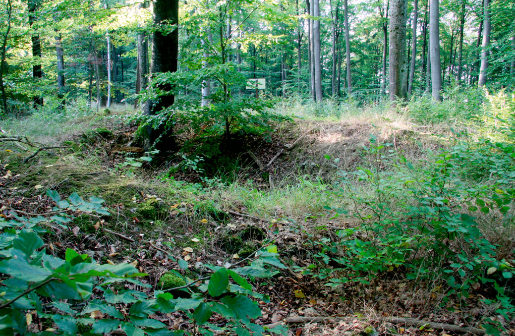 Grabhügel im Hemberg bei Götzingen vor der Wiederherstellung