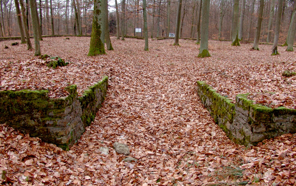 Eingangstor zum Kleinkastell Hönehaus, Hettingen